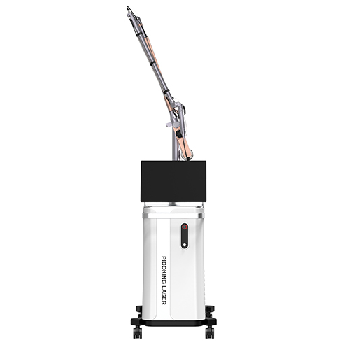 Professional Tattoo Removal Laser Machine With Picosecond